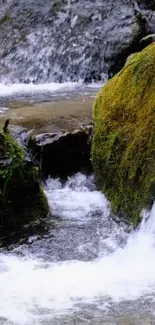 Peaceful waterfall amidst green mossy rocks with flowing water.