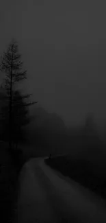 Foggy forest path at dusk with a serene atmosphere.