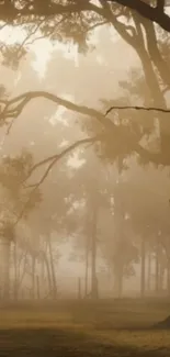 Serene foggy forest with misty trees and soft lighting.