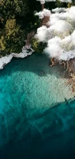 Aerial view of a forest meeting a turquoise sea.