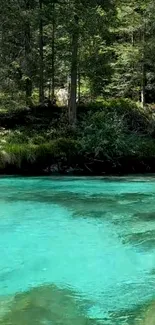 Serene turquoise stream with lush forest backdrop.