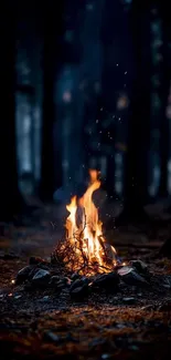 Bonfire in a dark forest with glowing embers.