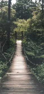 Peaceful forest bridge with lush greenery and wooden path.