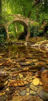 Stone bridge over a tranquil stream in a lush green forest.