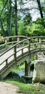 Wooden bridge in lush green forest scene with stream.