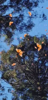 Orange butterflies flutter in forest against blue sky.