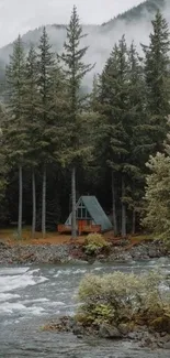 Serene forest scene with cabin by a river.