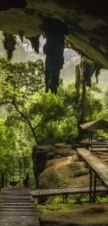 Calm forest cave with vibrant green trees and a wooden walkway.