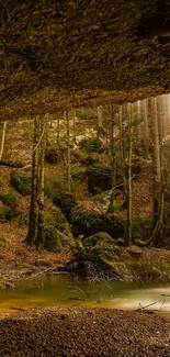 Serene cave view with forest and sunlight rays in a natural setting.