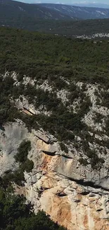 Aerial view of a lush green forest and rocky cliff.