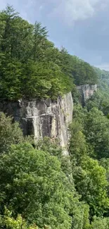 Serene forest cliff with lush greenery and majestic rock formations.