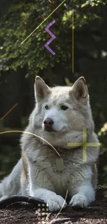 Serene dog in lush forest setting, relaxing.