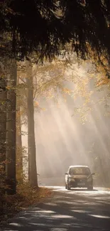 Car driving through a sunlit forest road