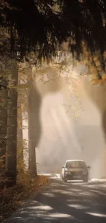 Car driving through a sunlit forest path with tall trees.