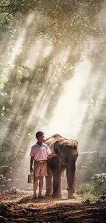 Boy and elephant in sunlit forest path.