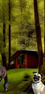 Forest with cabin, horse, and dog wallpaper.