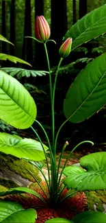 Vivid green forest with large leaves and a budding flower in a tranquil setting.