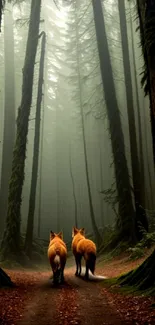 Two foxes walking on a misty forest path with tall trees.