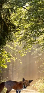 Fox standing gracefully in a sunlit forest path, surrounded by lush greenery.