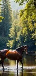 Horse standing in a tranquil forest water scene surrounded by lush greenery.