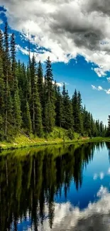 Tranquil forest lake with blue sky reflection.