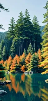 Forest reflection on a serene lake with vibrant autumn trees.