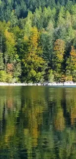 Calm forest lake reflecting vibrant autumn trees and lush greenery.