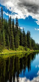 Beautiful reflection of trees and sky on a serene forest lake.