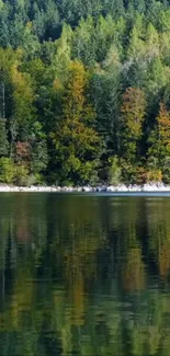 Tranquil forest lake with autumn trees reflecting on the water.