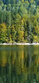 Forest lake with autumn colors reflecting in calm water.