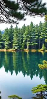 Forest lake with green trees reflecting on calm water.