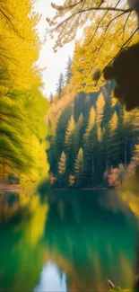 Golden autumn forest reflected in a calm blue lake.