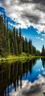 Serene forest lake with trees and a reflection of the sky.