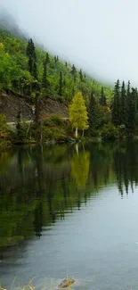 Serene forest lake with misty mountains.