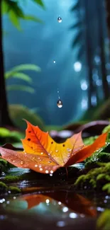 Fallen leaf in a tranquil, lush forest setting with dewdrops.