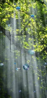 Sunlit forest scene with glass orbs and lush green leaves.