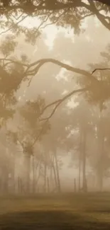 Ethereal misty forest scene with soft sunlight.