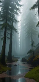 Misty forest path with tall trees and serene atmosphere.