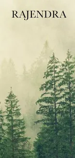 Serene forest mobile wallpaper with trees in mist.