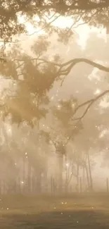 Misty forest with golden sunlight streaming through trees.