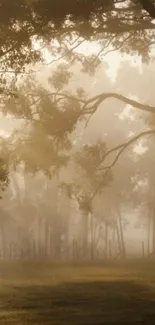 Serene forest with morning mist and golden light casting a peaceful glow.