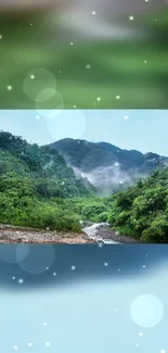 Lush green forest with misty mountain scene, ideal for phone wallpaper.