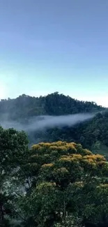 Serene view of a forested mountain under a clear sky.