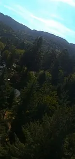 Scenic view of forested mountains under a clear blue sky.