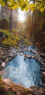 Serene forest hot spring with a tranquil pool.