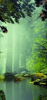 Tranquil forest with lush greenery and reflective water surface.