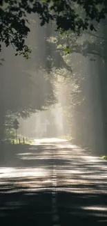 A serene forest path with mist and sunlight filtering through trees.