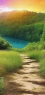 Serene forest path with sunset over lush green landscape.