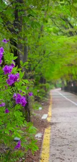 Serene forest path with purple flowers and lush green trees wallpaper.