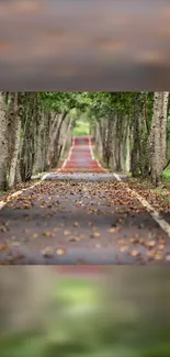 Scenic path through lush green forest with fallen leaves on the road.